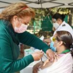 Gusano barrenador, abusos digitales y VPH: lanzan tres alertas sanitarias y de protección