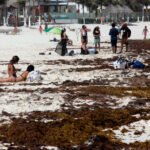 Plantean destinar recursos del turismo para enfrentar el sargazo en Quintana Roo
