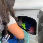 Tecnología reduce a la mitad el tiempo dedicado al lavado de ropa en México